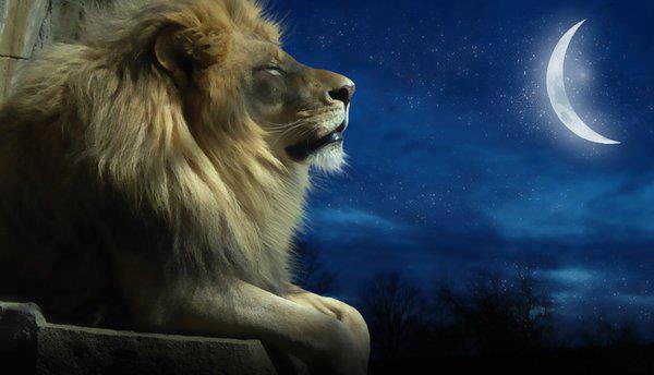 lion inner power judah infinite self spiritual reclaiming wilde stuart